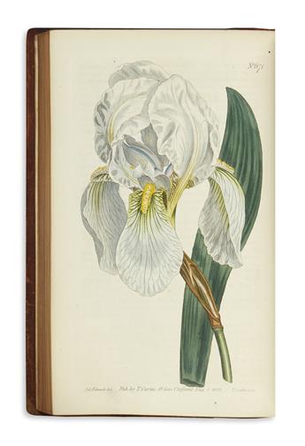 CURTIS, WILLIAM. The Botanical Magazine; or Flower Garden Displayed.